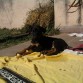 Tomando sol con sus trapitos